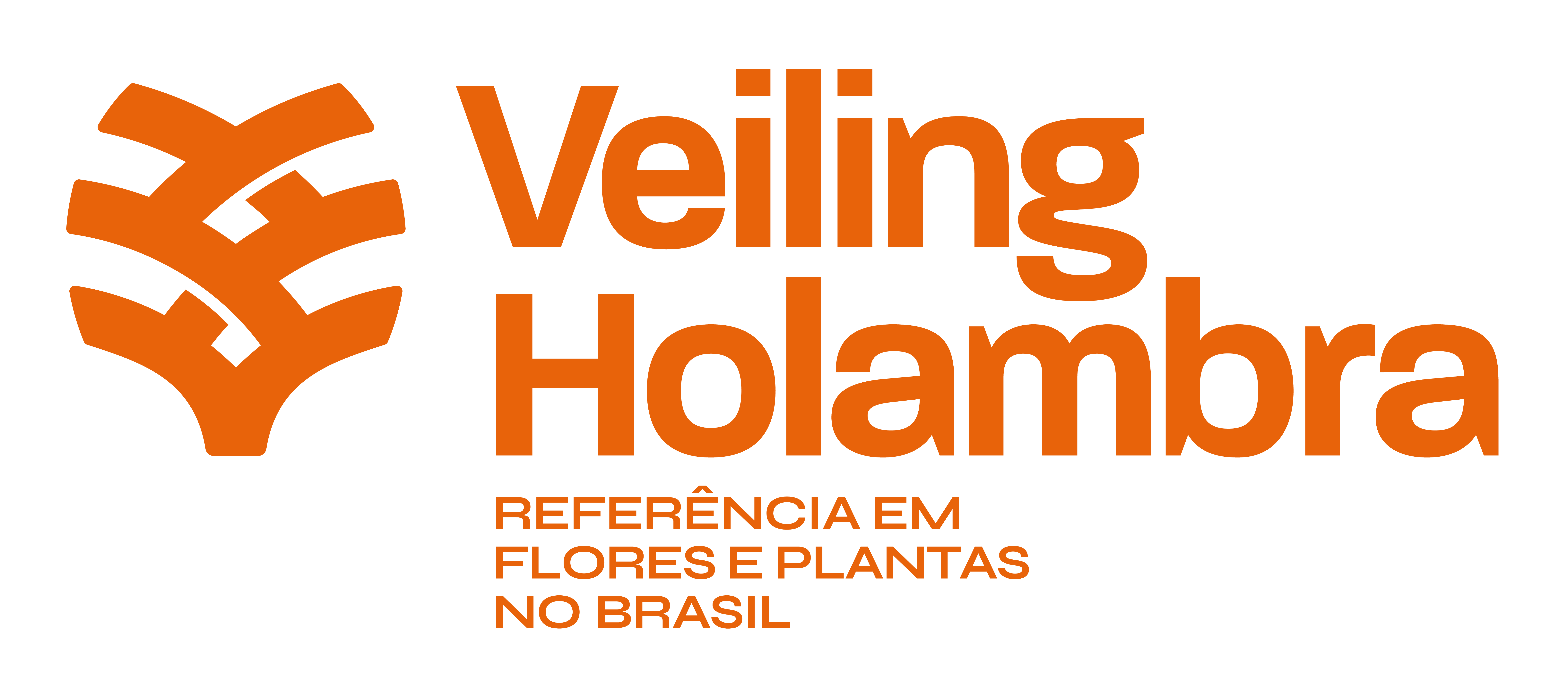 Veiling Holambra